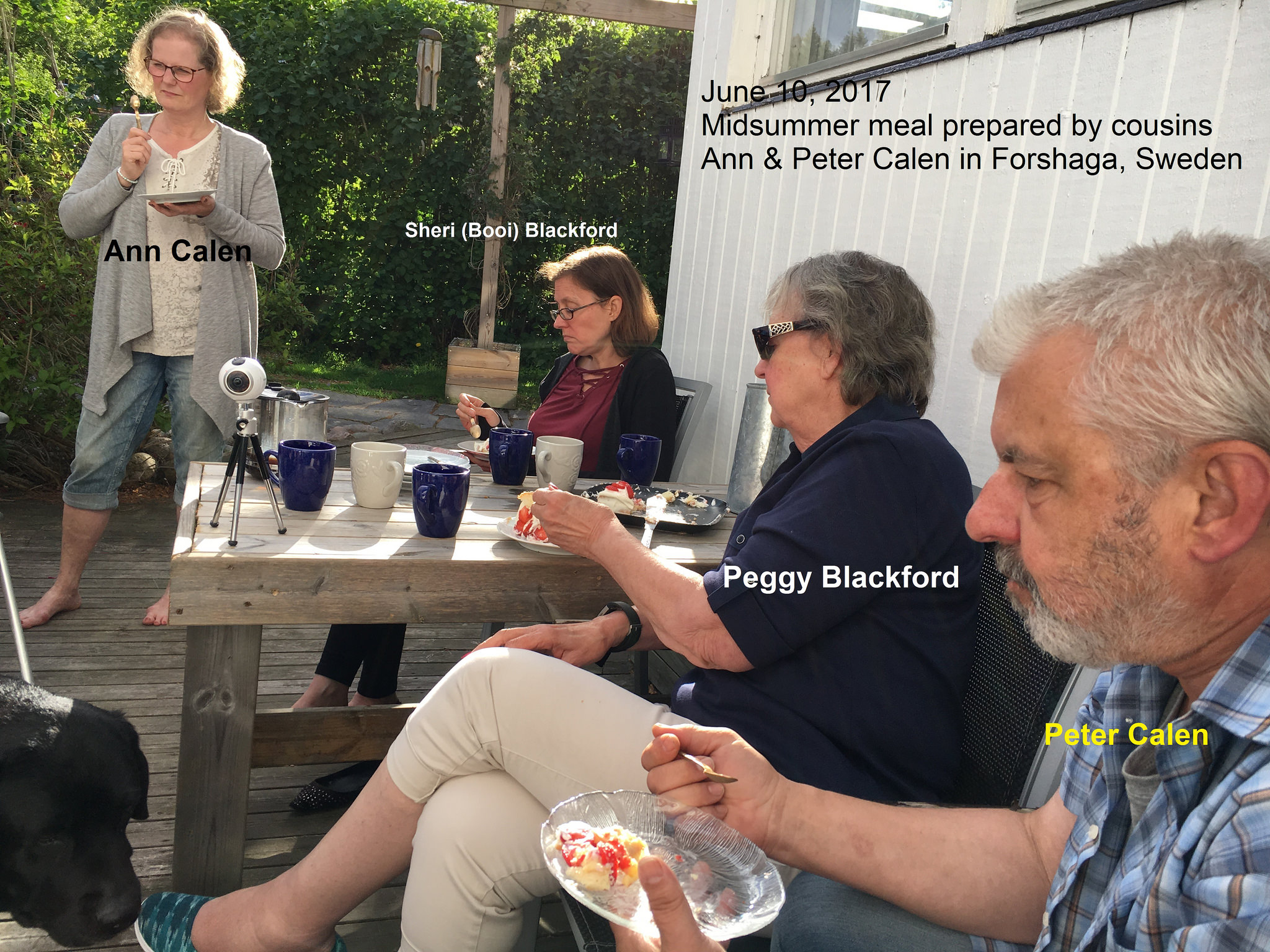 midsummer meal at cousin's